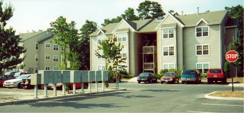 Royal Timbers